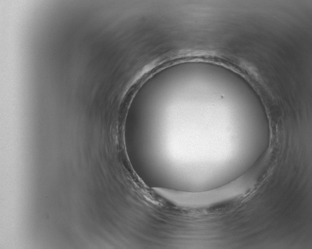 X0000080151165200612302120