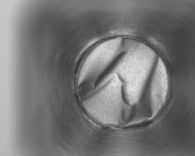 X0000080151166200612302120