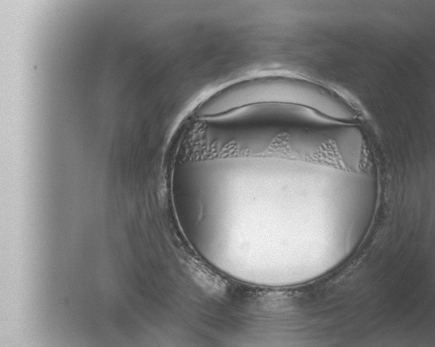 X0000080151167200612302120