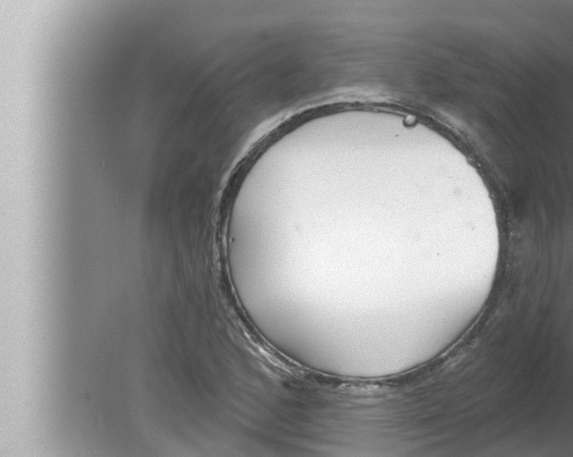 X0000080151168200612302120