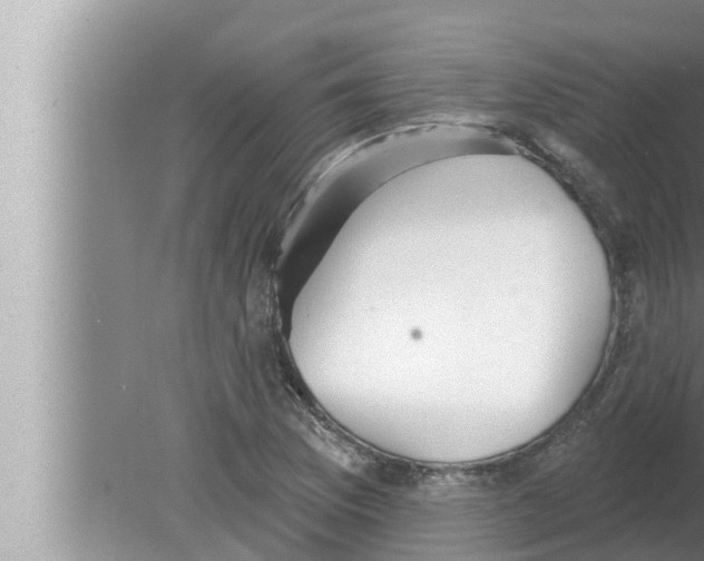 X0000080151169200612302120