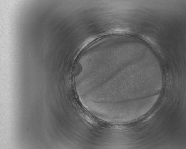 X0000080151170200612302120