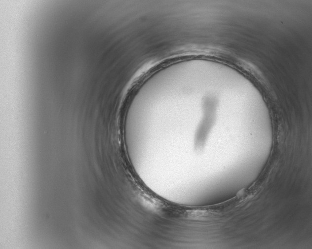 X0000080151172200612302120