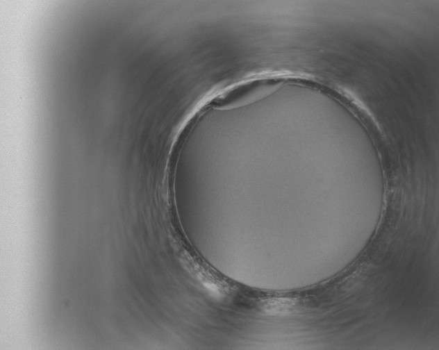 X0000080151173200612302120