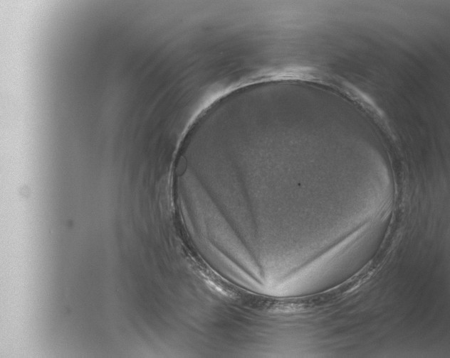 X0000080151174200612302120