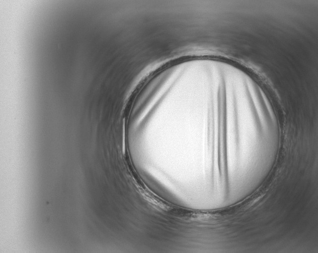 X0000080151175200612302120