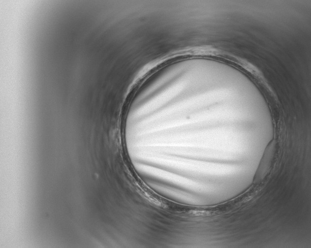 X0000080151176200612302120