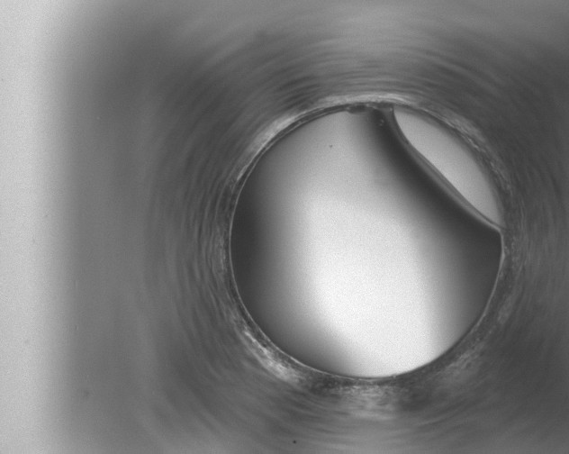 X0000080151177200612302120