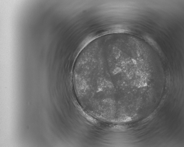 X0000080151178200612302120