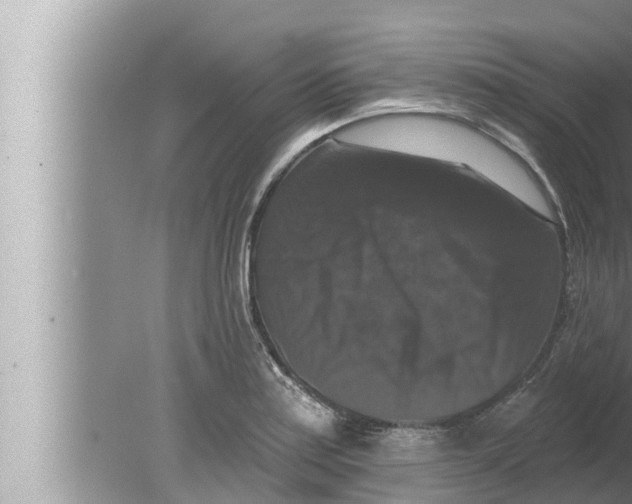 X0000080151179200612302120