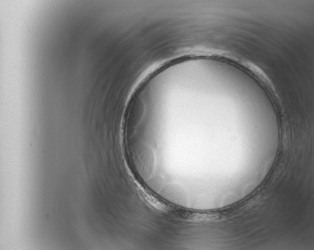 X0000080151183200612302120