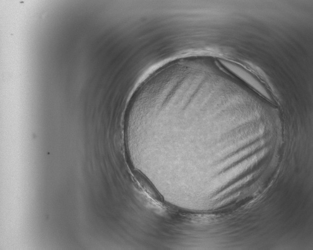 X0000080151184200612302120