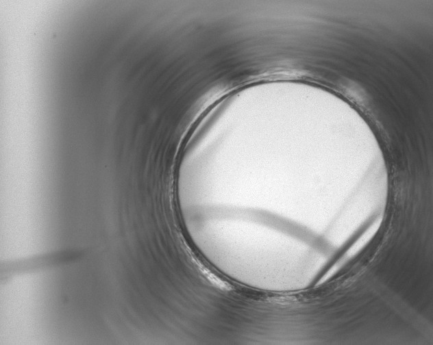 X0000080151186200612302120