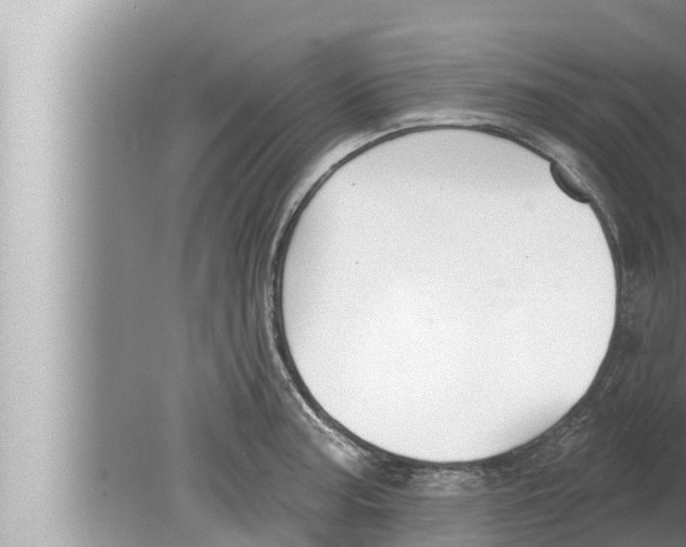 X0000080151187200612302120