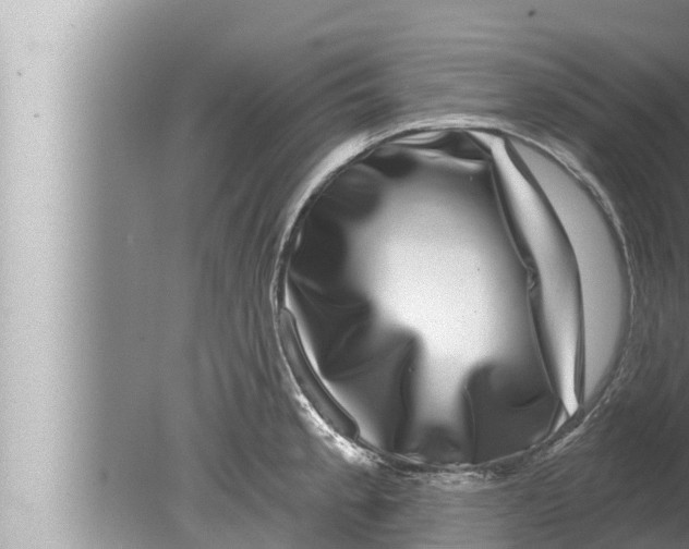 X0000080151189200612302120