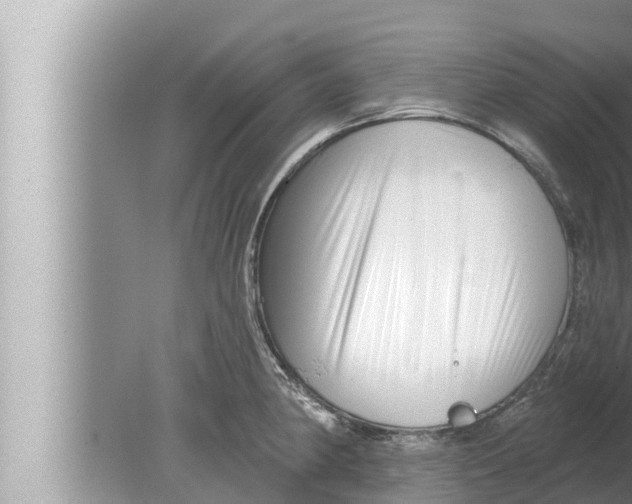 X0000080151190200612302120