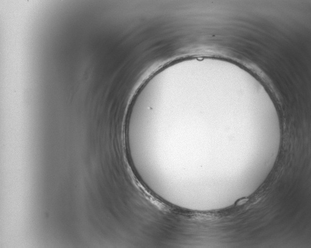 X0000080151191200612302120