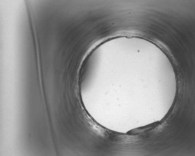 X0000080151192200612302120