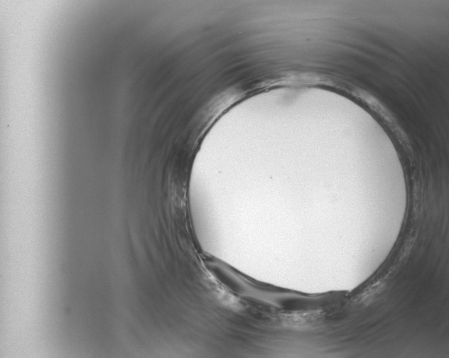 X0000080151193200612302120