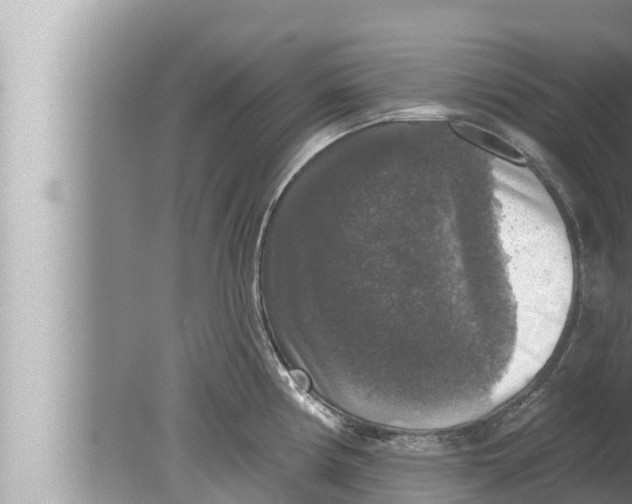 X0000080151194200612302119