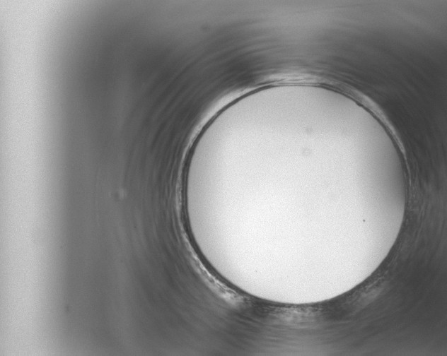 X0000080151195200612302119