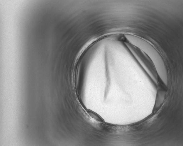 X0000080151196200612302119