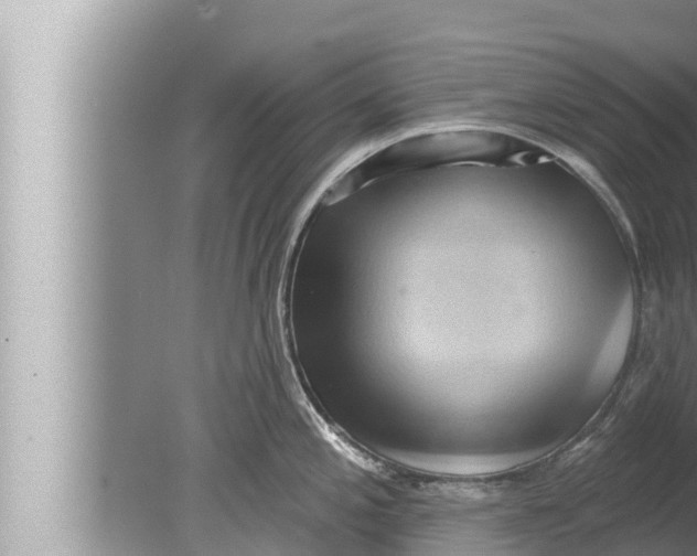 X0000080151197200612302119