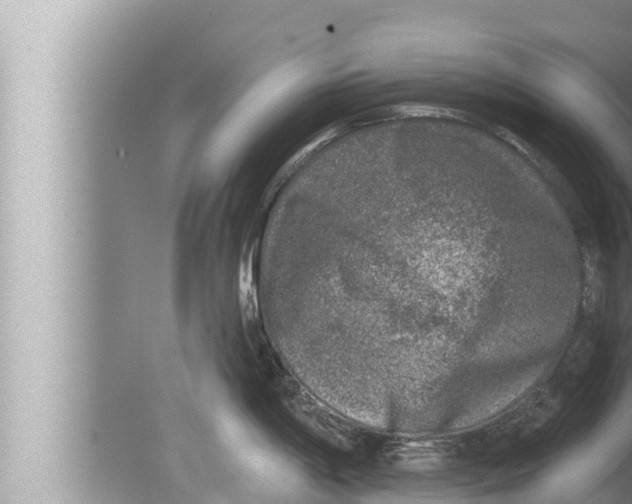 X0000080151198200612302119