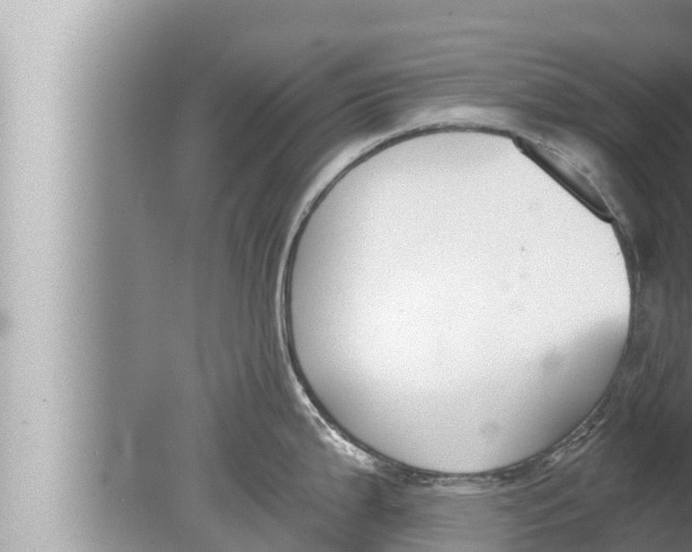 X0000080151199200612302119