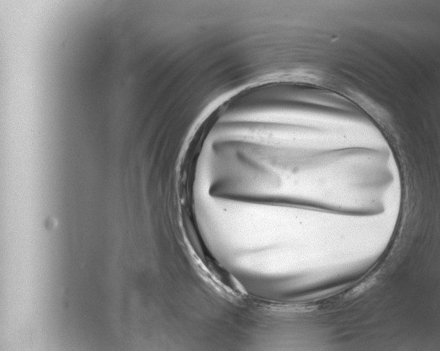 X0000080151200200612302119