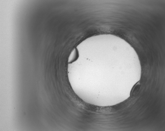 X0000080151201200612302119