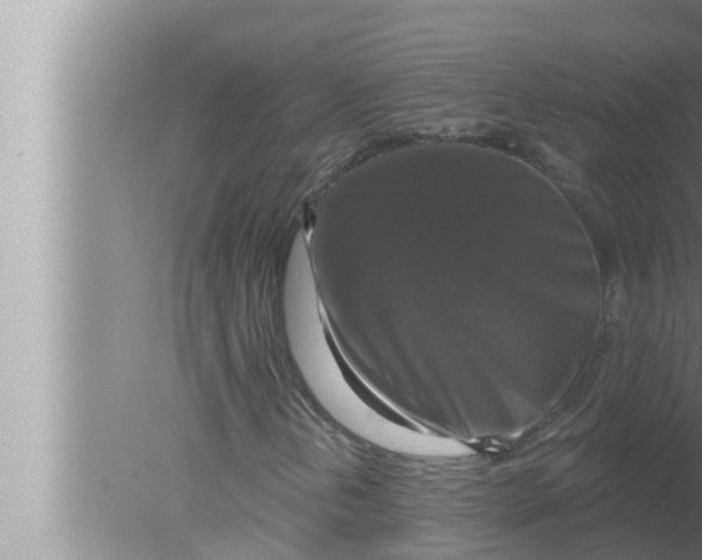 X0000080151202200612302119