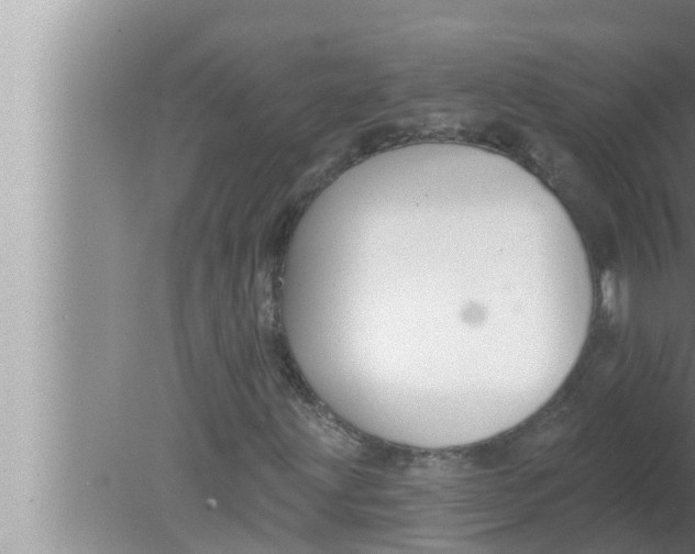 X0000080151203200612302119