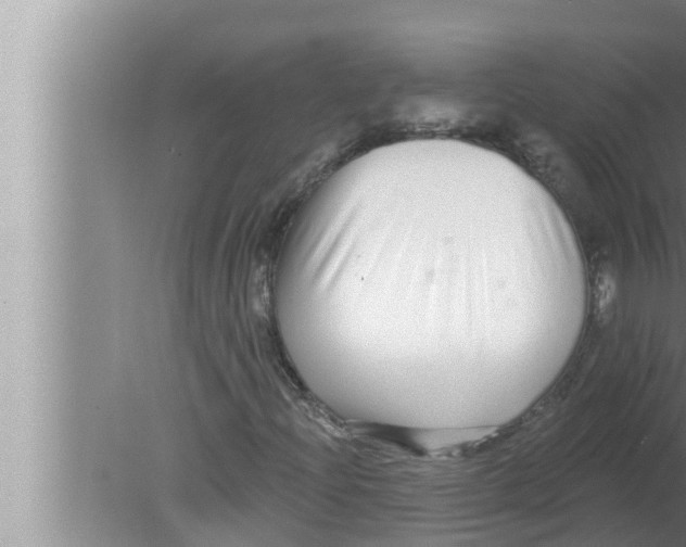 X0000080151204200612302119