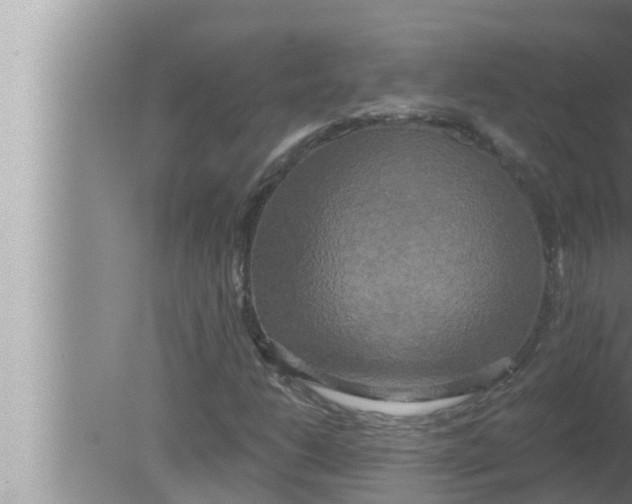 X0000080151206200612302119