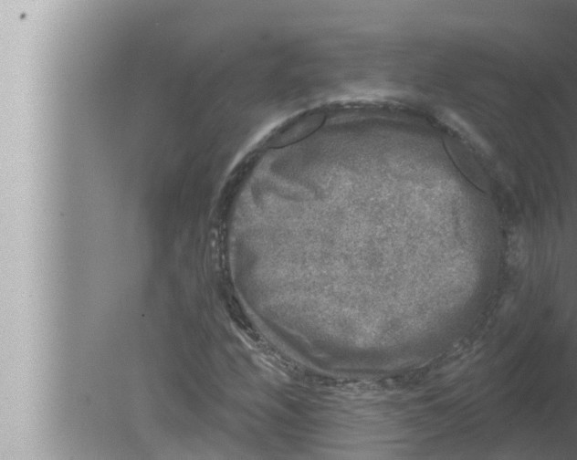 X0000080151208200612302119