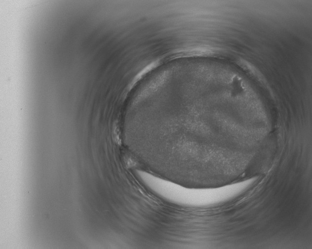 X0000080151210200612302119