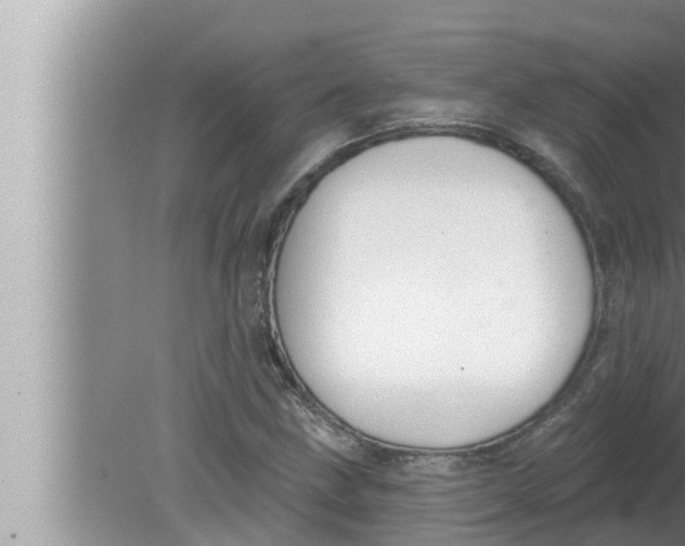 X0000080151211200612302119