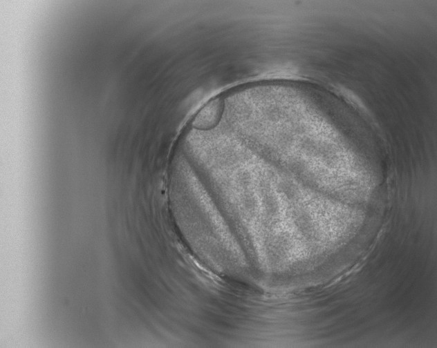 X0000080151212200612302119