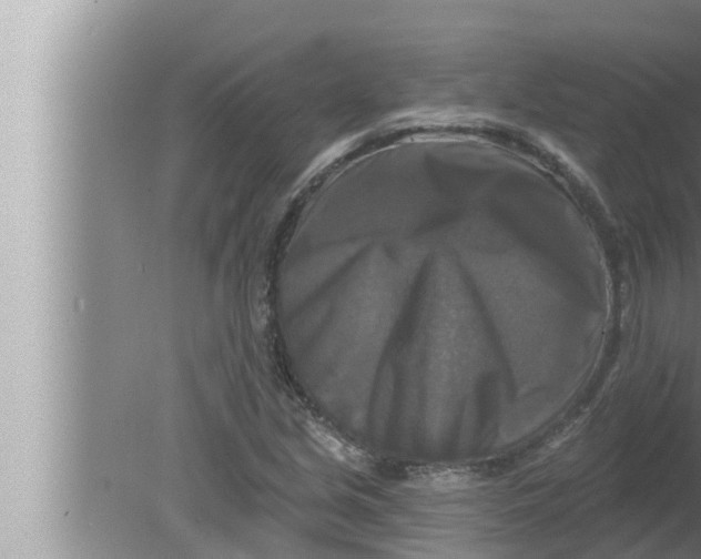 X0000080151213200612302119