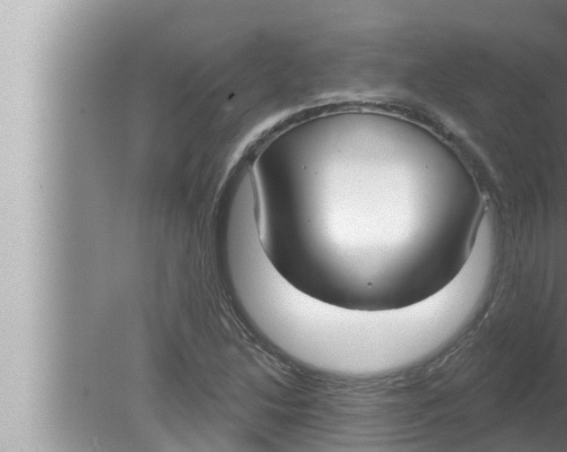 X0000080151214200612302119