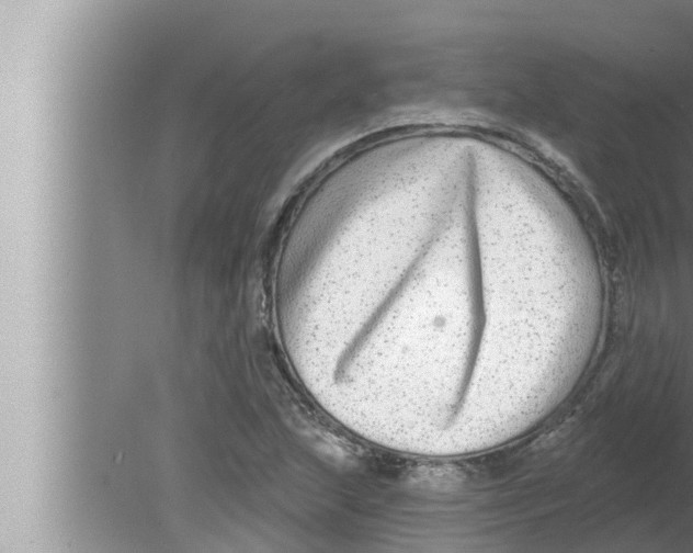 X0000080151215200612302119