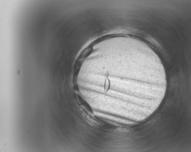 X0000080151216200612302119