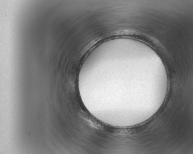 X0000080151217200612302119