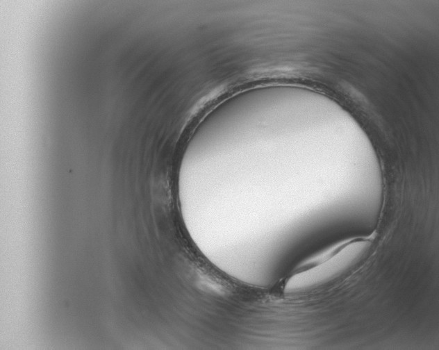 X0000080151218200612302119