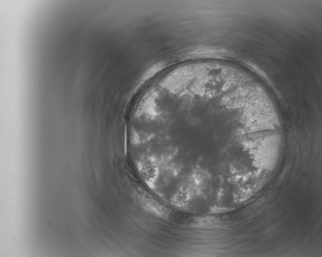 X0000080151219200612302119