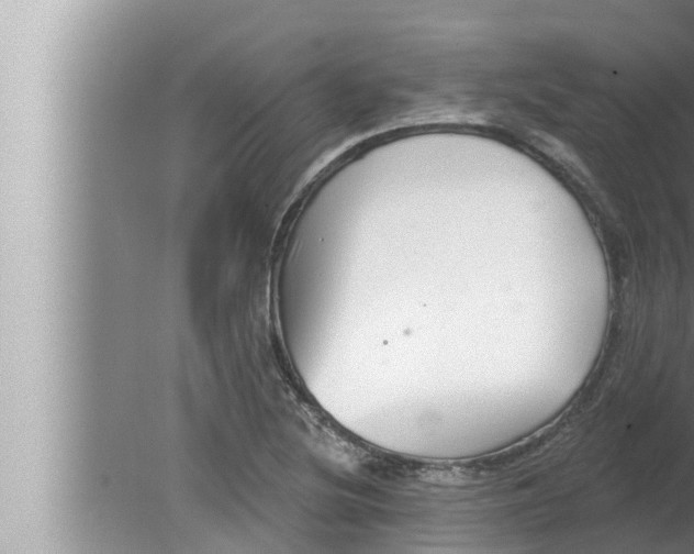 X0000080151220200612302119