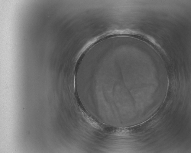 X0000080151221200612302119