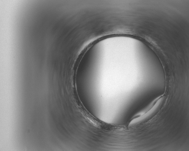 X0000080151222200612302119