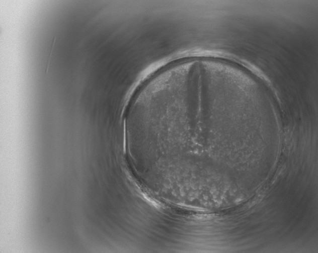 X0000080151223200612302119